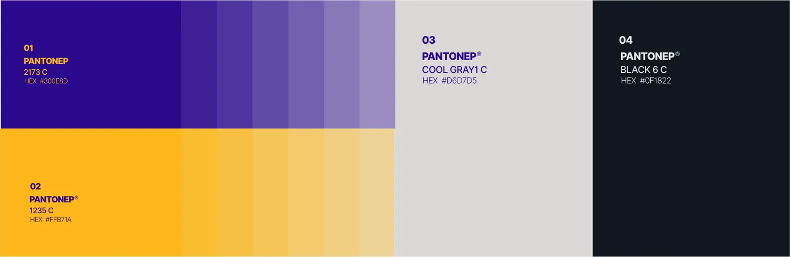 Barzin: Colour story