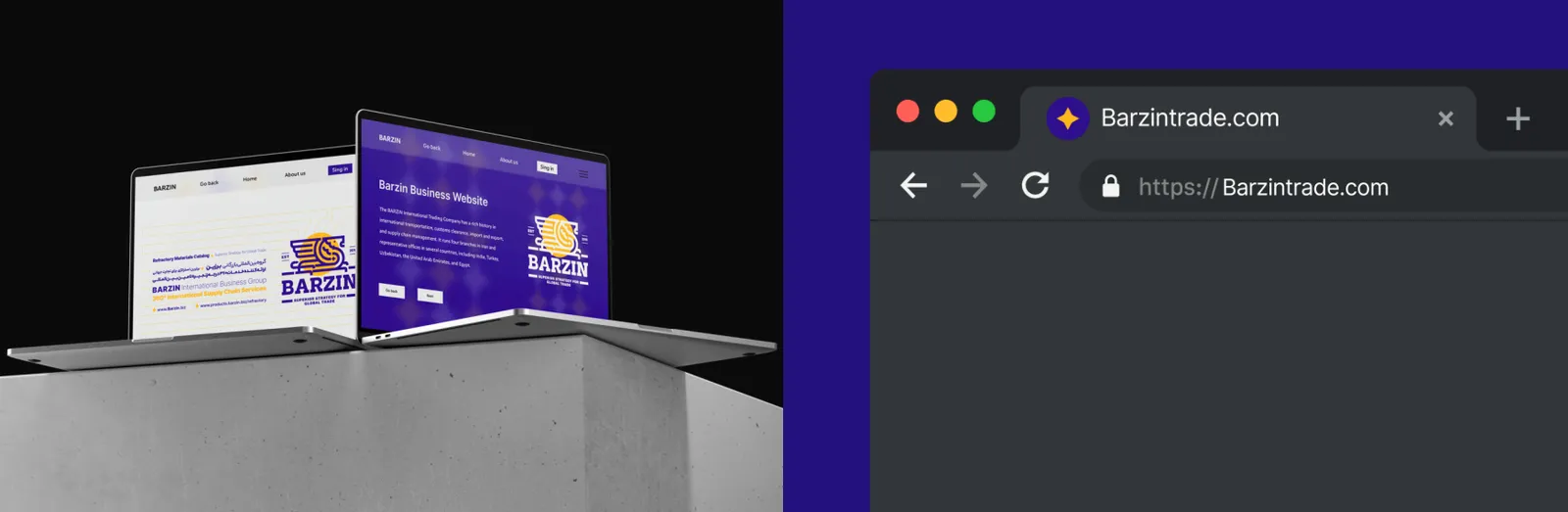 Barzin: Website