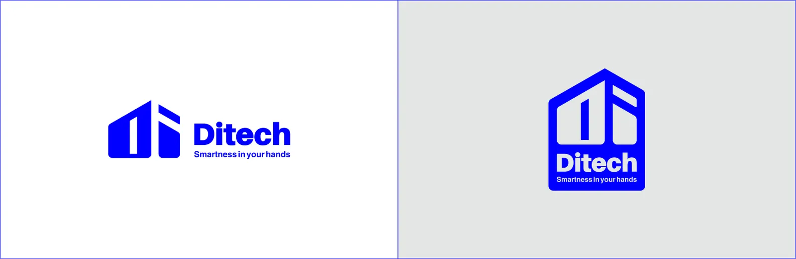 DITECH: Varianten