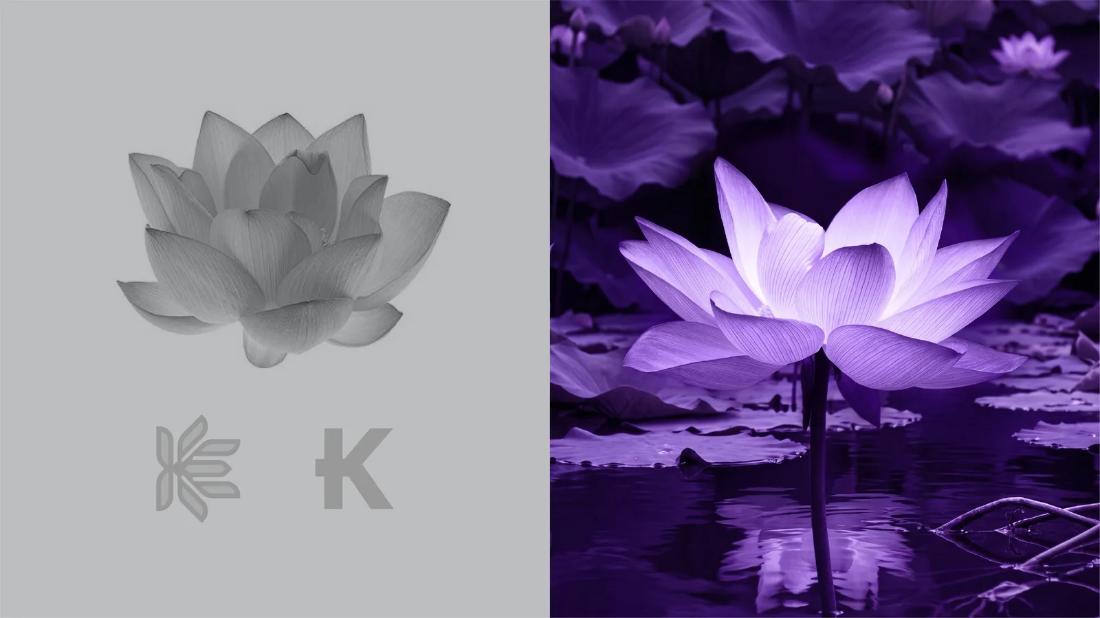 Kosar: Concept