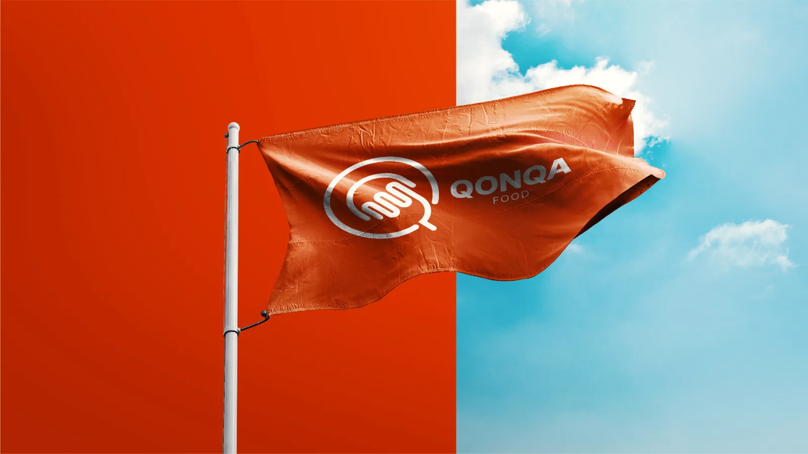 QONQA: Flags