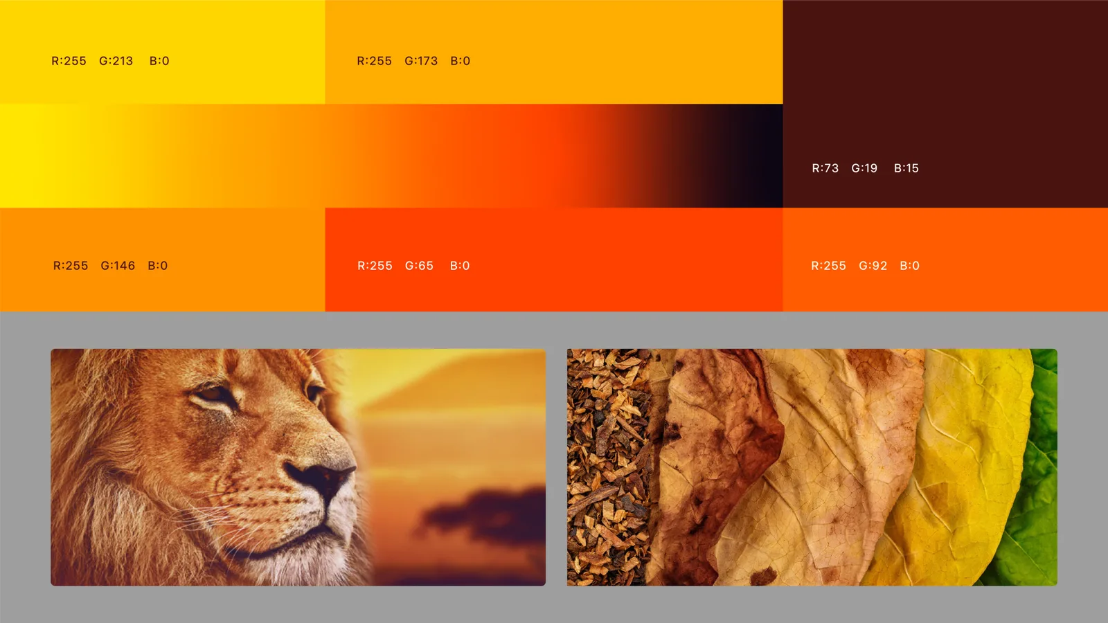 Sharlot: Colour story