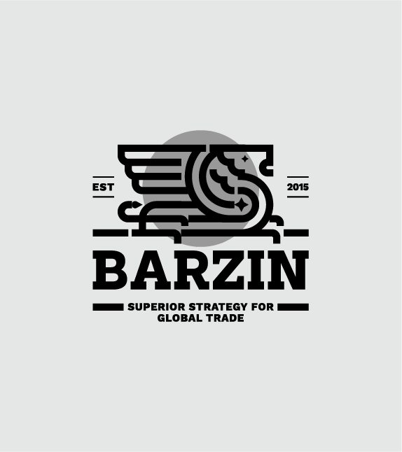 Barzin: Variations